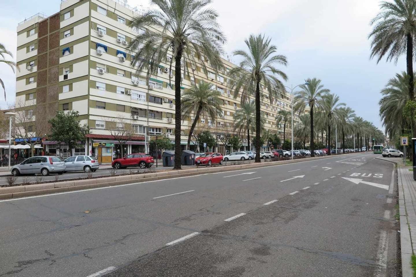 Gran Apartamento A 10 Minuts Mezquita Catedral Cordoba Ngoại thất bức ảnh
